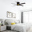 Carro Arlington 52" Ceiling Fan/Wall Control