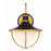 Crystorama Atlas 1 Light Outdoor Sconce, Black/Gold/White