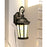 Dale Tiffany North Point Tiffany Outdoor Wall Sconce, Golden Black