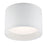 Eurofase Benton 1-Light Large LED Flushmount, White/Frosted - 32684-018