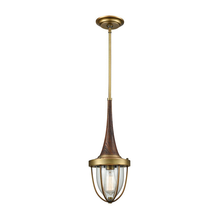 ELK Lighting Sturgis 1-Light Mini Pendant, Antique Brass/Clear Blown - 33140-1