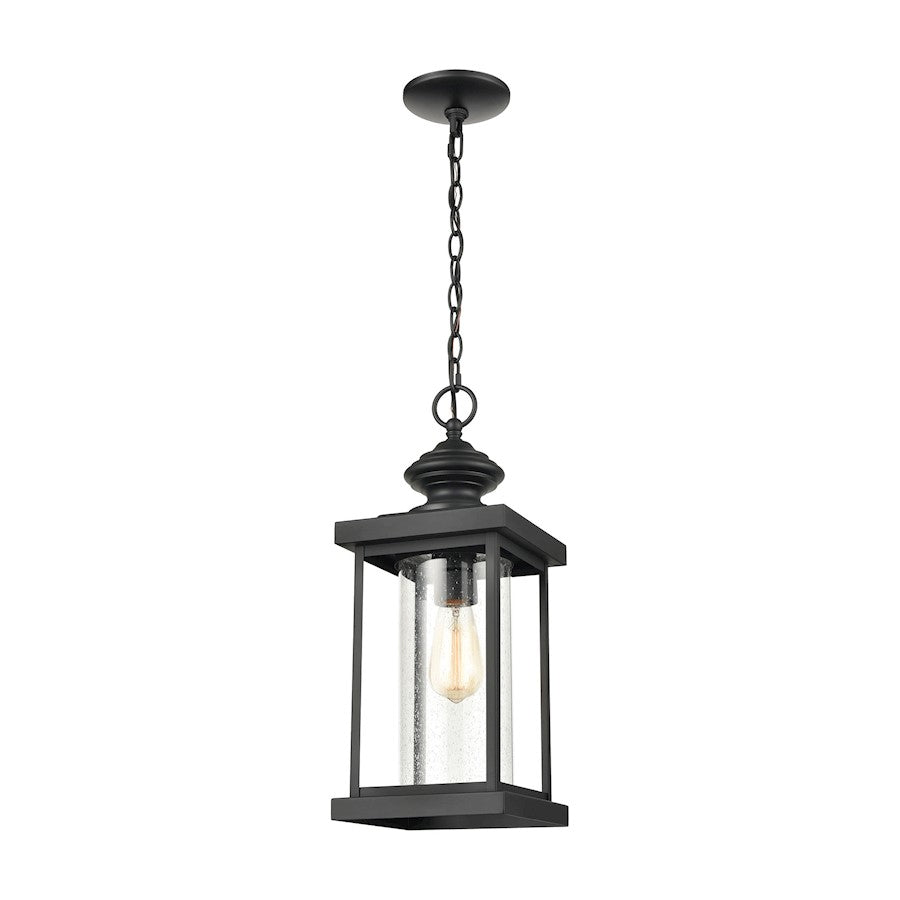 ELK Lighting Minersville 1-Light Outdoor Pendant, Black/Speckled - 45453-1