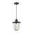 ELK Lighting Lakeshore Drive 1-Light Mini Pendant, Black/Seedy Glass - 46403-1