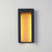 ET2 Lighting Alcove 2 Light LED Outdoor Wall Sconce, Black/Gold