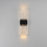 ET2 Lighting Rune 2 Light LED Outdoor Wall Sconce, Black/Clear