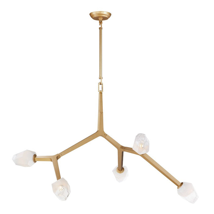 ET2 Lighting Blossom 5-Light Pendant, Brass/Clear/Frosted - E32795-93NAB