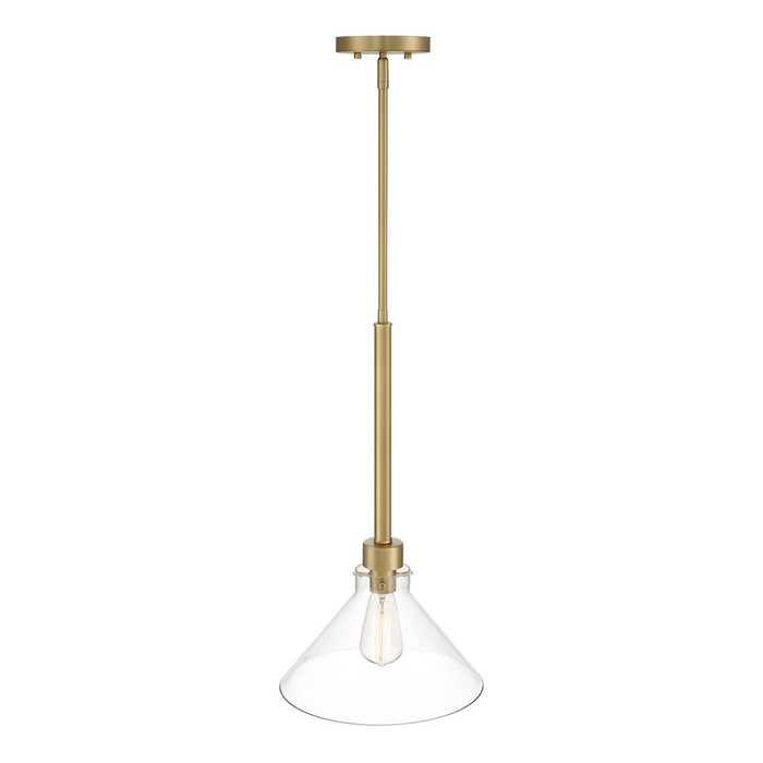 Designers Fountain Willow Creek 1 Light Pendant, Gold/Clear