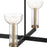 Designers Fountain Nova 25" 4 Light Chandelier, Black/Clear Seedy