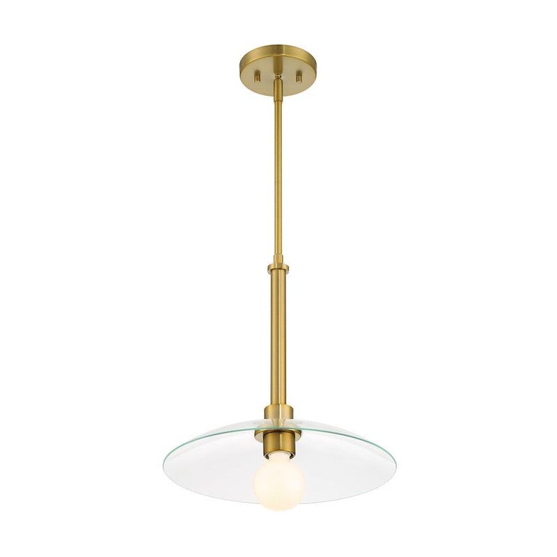 Designers Fountain Litto 14" 1 Light Pendant, Gold/Clear