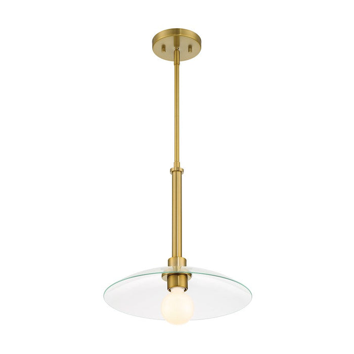 Designers Fountain Litto 14" 1 Light Pendant, Gold/Clear