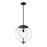 Designers Fountain Celeste 1 Light Pendant, Black/Clear