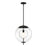 Designers Fountain Celeste 1 Light Pendant, Black/Clear