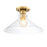 Designers Fountain Leena 1 Light Semi Flush Mount, Gold/Clear