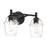 Designers Fountain Summer Jazz 2 Light Vanity, Black/Clear