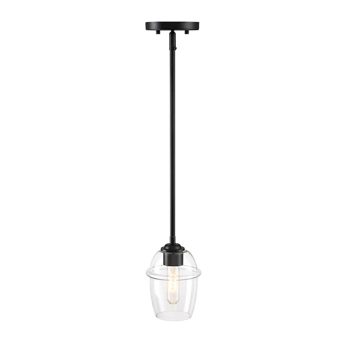 Designers Fountain Summer Jazz 1 Light Pendant, Black/Clear