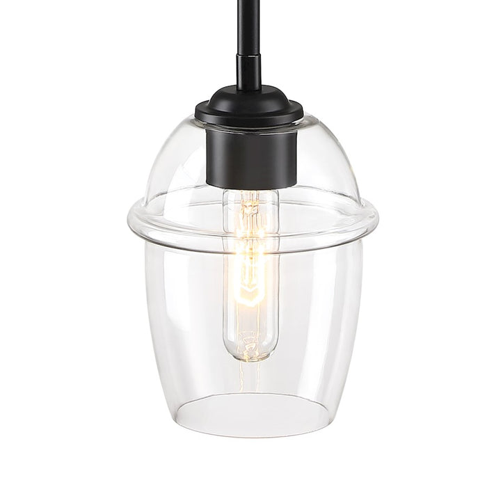 Designers Fountain Summer Jazz 1 Light Pendant, Black/Clear