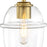 Designers Fountain Summer Jazz 1 Light Semi Flush, Gold/Clear