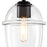 Designers Fountain Summer Jazz 1 Light Semi Flush, Black/Clear