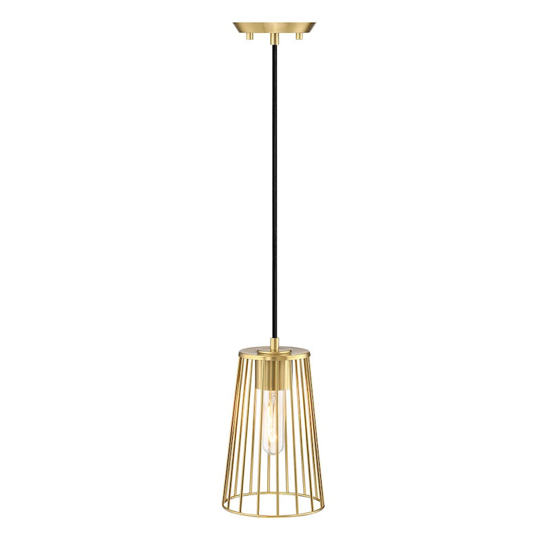 Designers Fountain Liana 1 Light Pendant, Gold/Wire Cage Shade