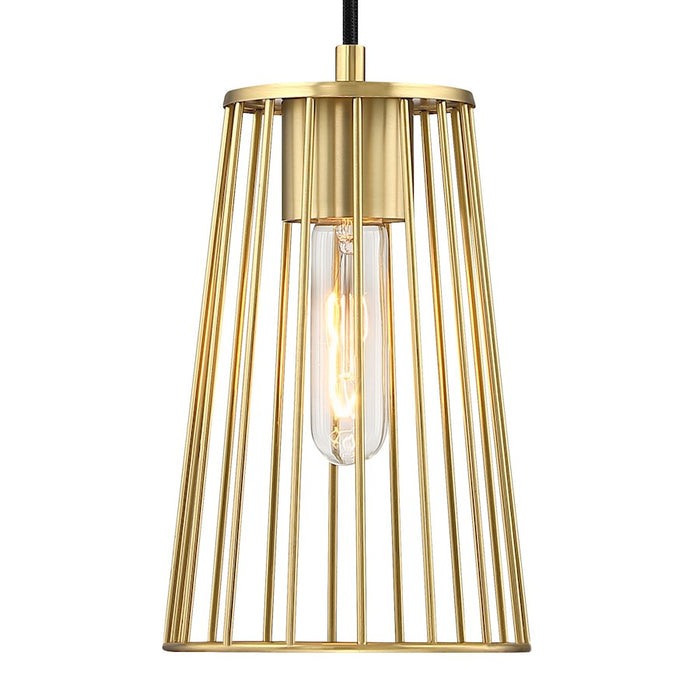 Designers Fountain Liana 1 Light Pendant, Gold/Wire Cage Shade