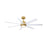 Fanimation Pendry 56" Ceiling Fan, Brass Opal/Matte White