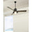 Visual Comfort Fan Boynton 54" Outdoor Ceiling Fan, Ant. Bronze