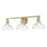 Golden Lighting Carver 3 Light Bath Vanity, Bronze/Clear