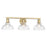 Golden Lighting Carver 3 Light Bath Vanity, Bronze/Clear