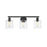 Golden Lighting Fisher 3 Light Bath Vanity, Matte Black/Clear