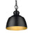 Golden Lighting Holmes 1-Light Mini Pendant