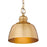 Golden Lighting Holmes 1 Light Mini Pendant, Modern Brushed Gold