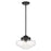 Golden Lighting Ingalls 1-Light Pendant, Matte Black/Clear