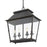 Golden Lighting Abingdon 4 Light Pendant Lantern