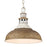 Golden Lighting Kinsley 1 Light Large Pendant, Steel/Rust - 0865-LAGV-RUST