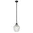 Golden Lighting Adeline 1 Light Medium Pendant, Black/Clear