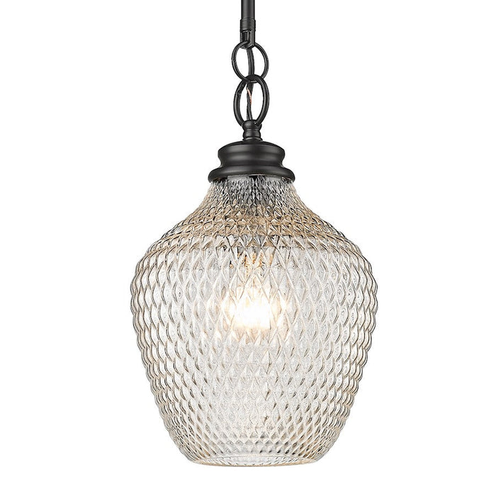 Golden Lighting Adeline 1 Light Medium Pendant, Black/Clear