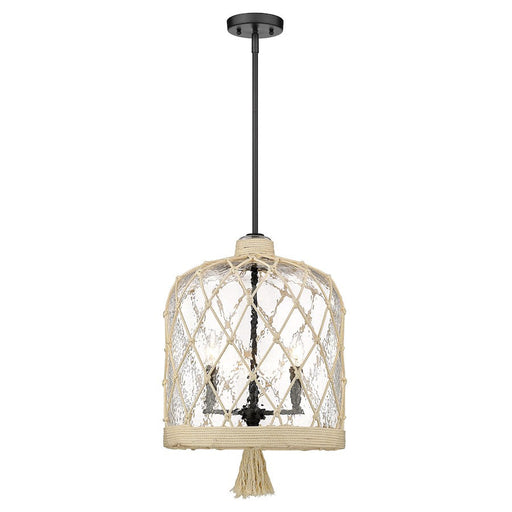 Golden Lighting Ssau 3 Light Pendant, Black/Hammered Clear