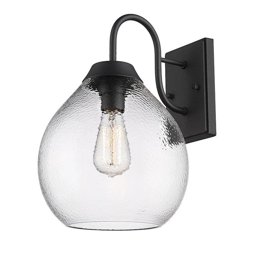Golden Lighting Ariella 1-Light Outdoor Wall Light, Black/Clear