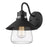 Golden Lighting Demi 1-Light Outdoor Wall Light, Black/Clear