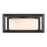 Golden Lighting Smyth 2 Light Outdoor Flush Mount, Black