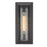 Golden Lighting Smyth 1 Light Outdoor Medium Sconce, Black