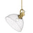 Golden Lighting Hines 1 Light Large Pendant, Bronze/Seeded