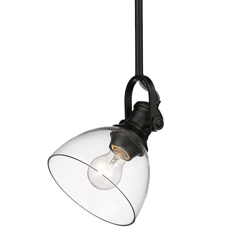 Golden Lighting Hines 1-Light Mini Pendant, Black/Clear Glass