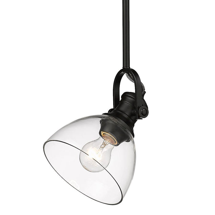 Golden Lighting Hines 1-Light Mini Pendant, Black/Clear Glass