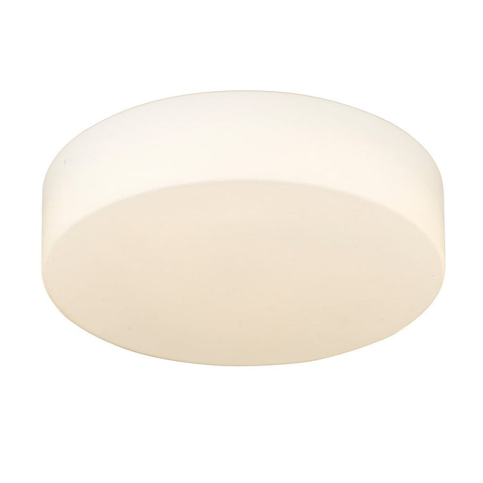 Golden Lighting Toli 1-Light Flush Mount