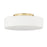 Golden Lighting Toli 1-Light Flush Mount