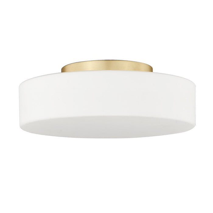 Golden Lighting Toli 1-Light Flush Mount