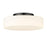 Golden Lighting Toli 1-Light Flush Mount, Matte Black/Opal Glass - 3136-FMBLK-OP