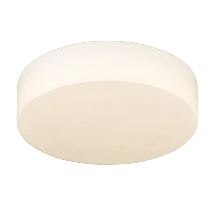 Golden Lighting Toli 1-Light Flush Mount