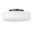 Golden Lighting Toli 1-Light Flush Mount